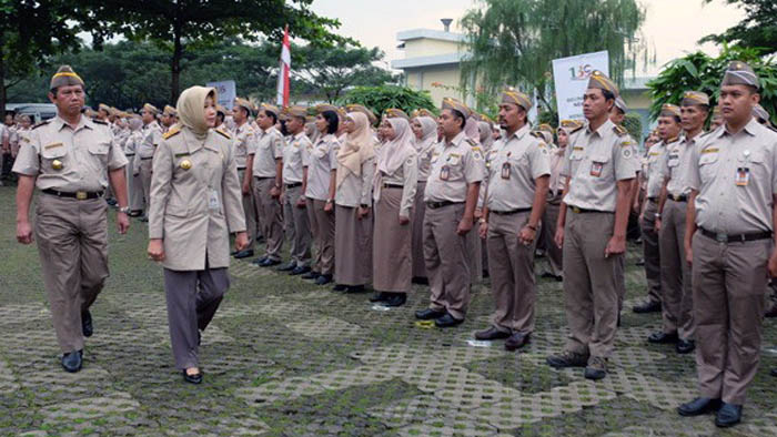 Flu Burung Merebak di China, Karantina Pertanian RI Perketat Pengawasan